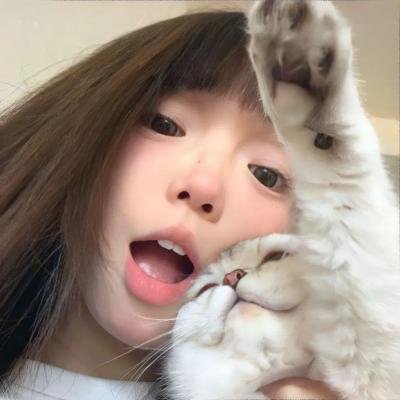 密探海芮:部落格大战